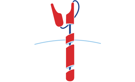 Breyanzi receptor icon